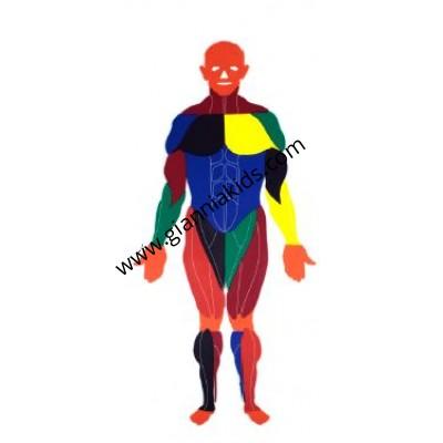 人體拼圖
