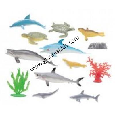 海洋生物組