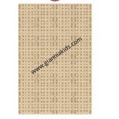 STEM activity wall panel (longitudinal extension group)