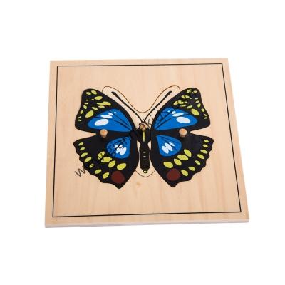 Montessori - Biological teaching aids