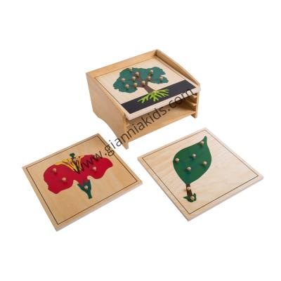 Montessori - Biological teaching aids