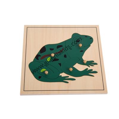 Montessori - Biological teaching aids