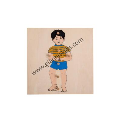 Montessori - Biological teaching aids