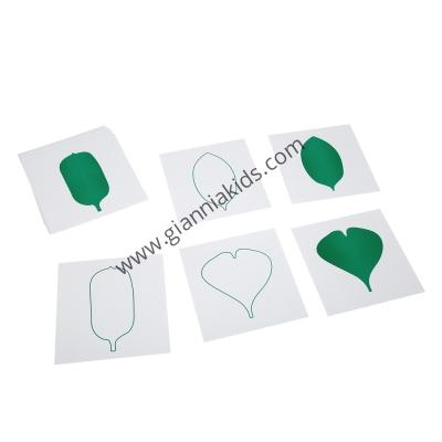 Montessori - Biological teaching aids