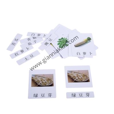 Montessori - Biological teaching aids