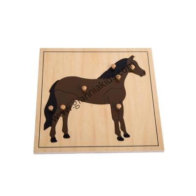 Montessori - Biological teaching aids