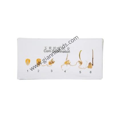 Montessori - Biological teaching aids