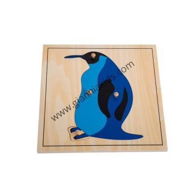 Montessori - Biological teaching aids