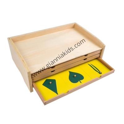 Montessori - Biological teaching aids