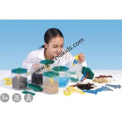 Chemical Decomposition Experimental Group