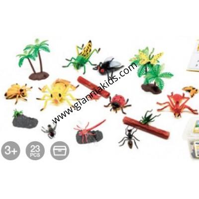 Insect Model Group