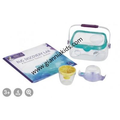 Insect observation breeding box