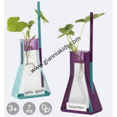 Soilless plant growth bottle