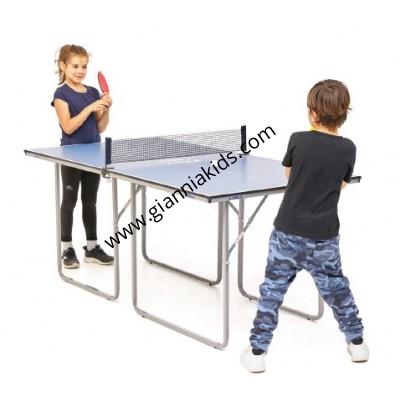Ping Pong Table