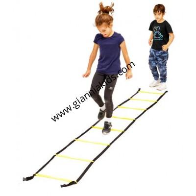 Fixed training ladder
