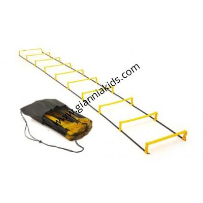 Dual use agile ladder