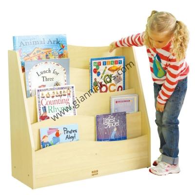 Basic Library Cabinet
