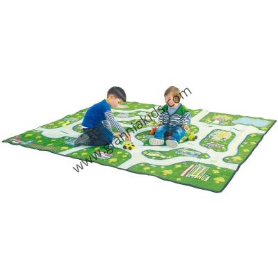 Teaching Carpet